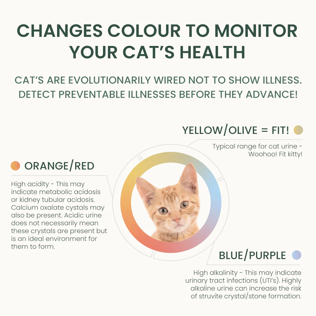 3 Month Supply - 1 Cat - Image 7