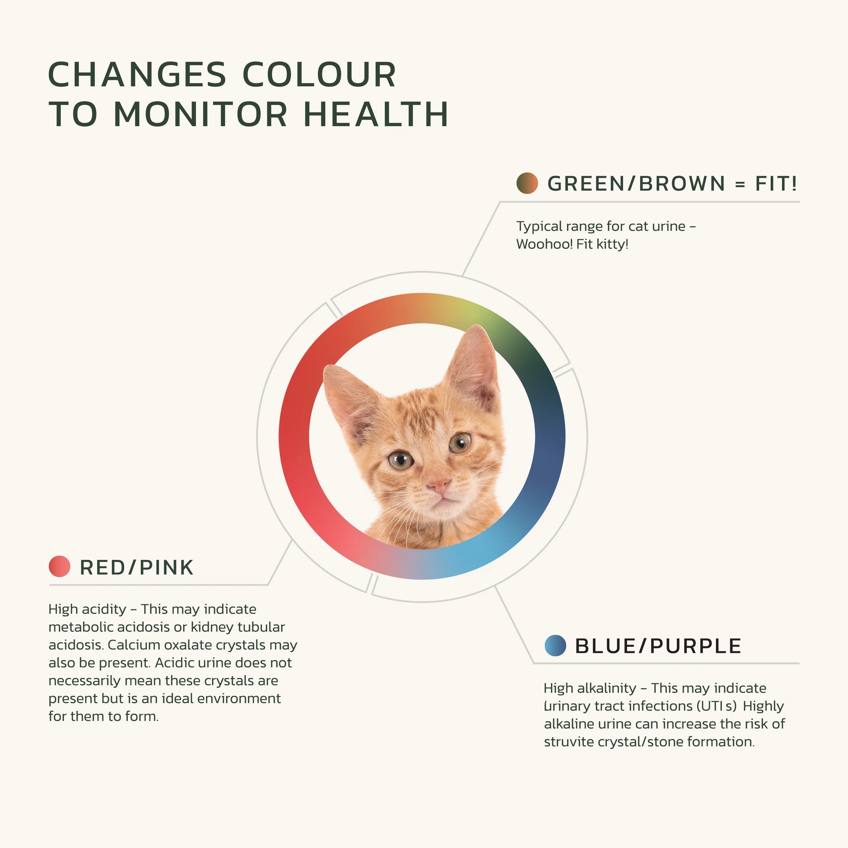 Fit Litter Eco - 3 Month Supply - 1 Cat - Image 3